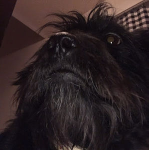 Meet your Posher, Eva